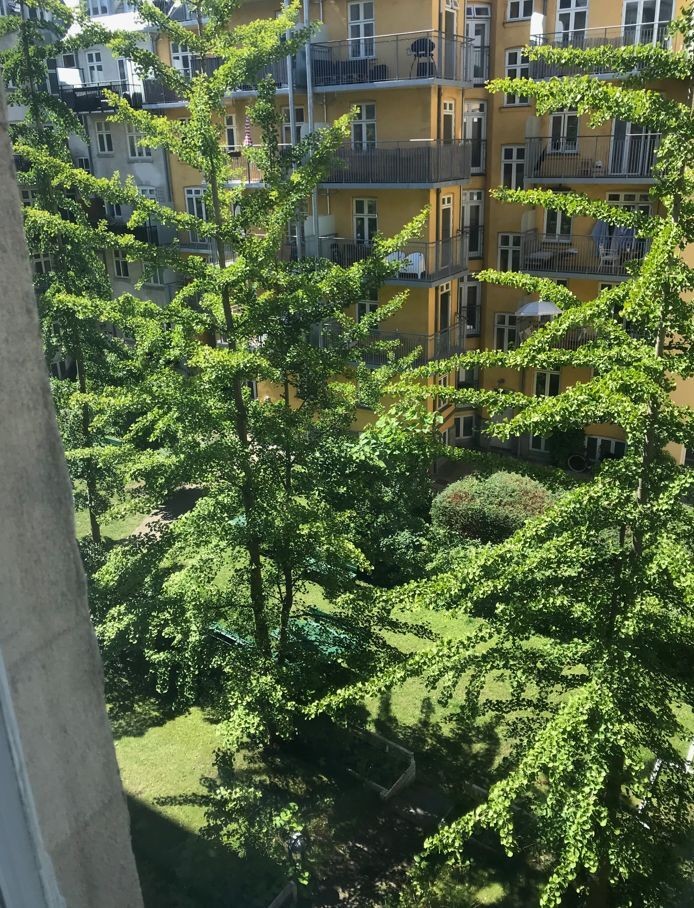 Billed 1 på Rømersgade 7A