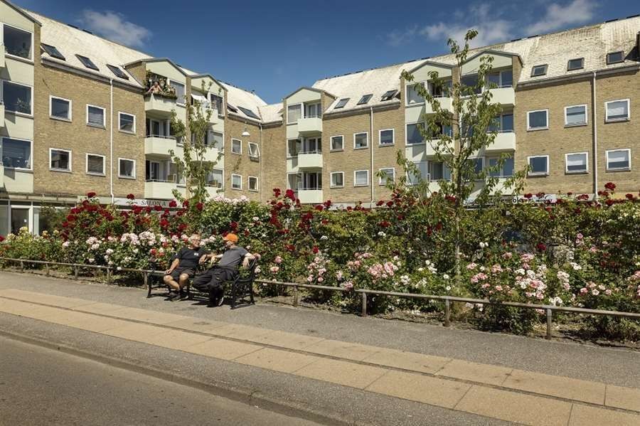 Billed 3 på Buskager 99