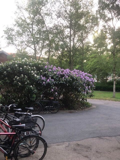 Billed 1 på Bispeparken 29