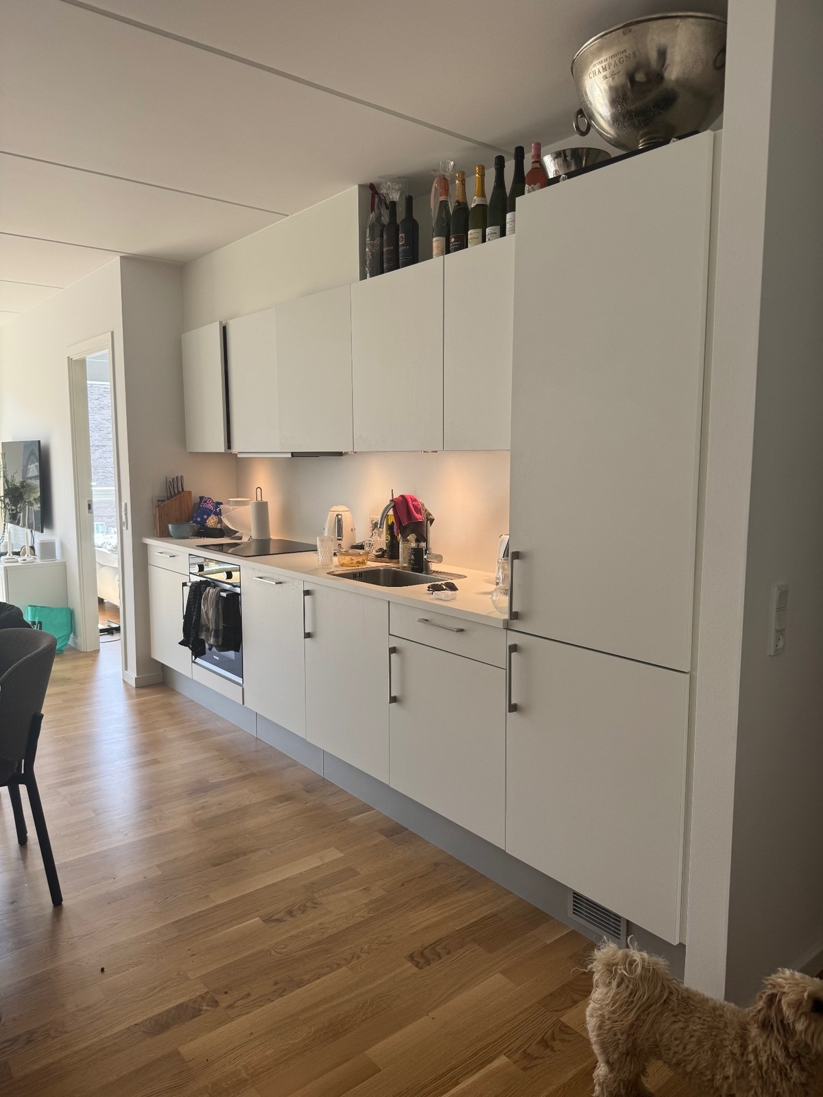 Billed 2 på Ingrid Marievej 53