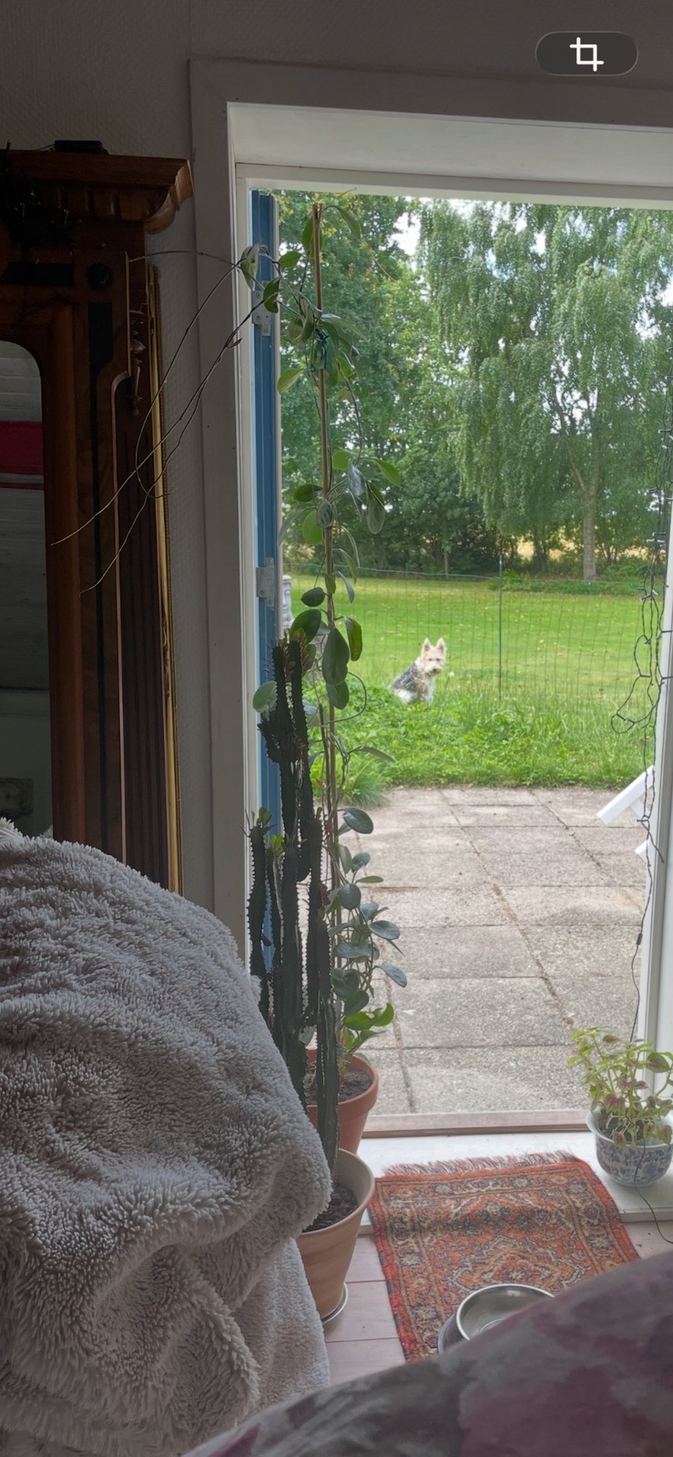 Billed 2 på Sdr Kirkevej 17D