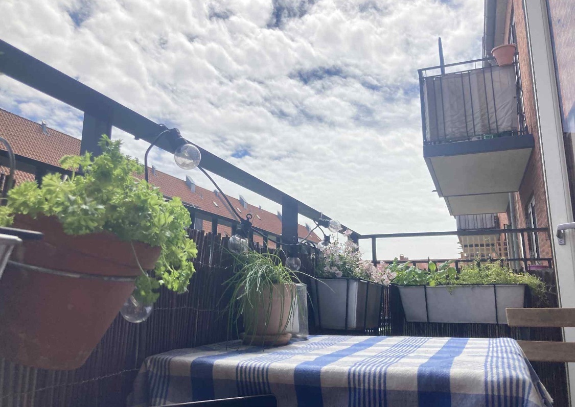 Billed 2 på Vibevej 53