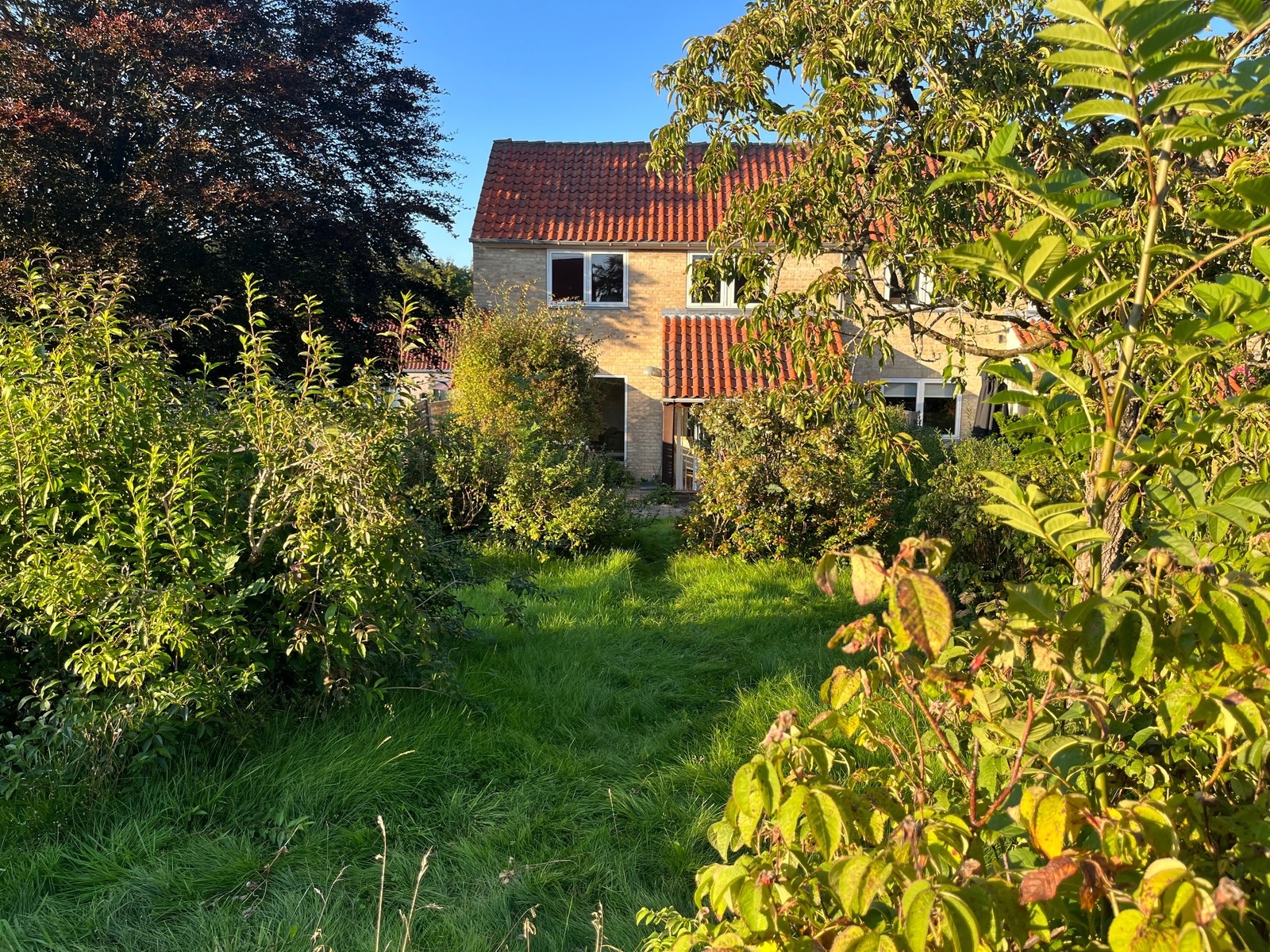 Billed 1 på Bringehusene 3