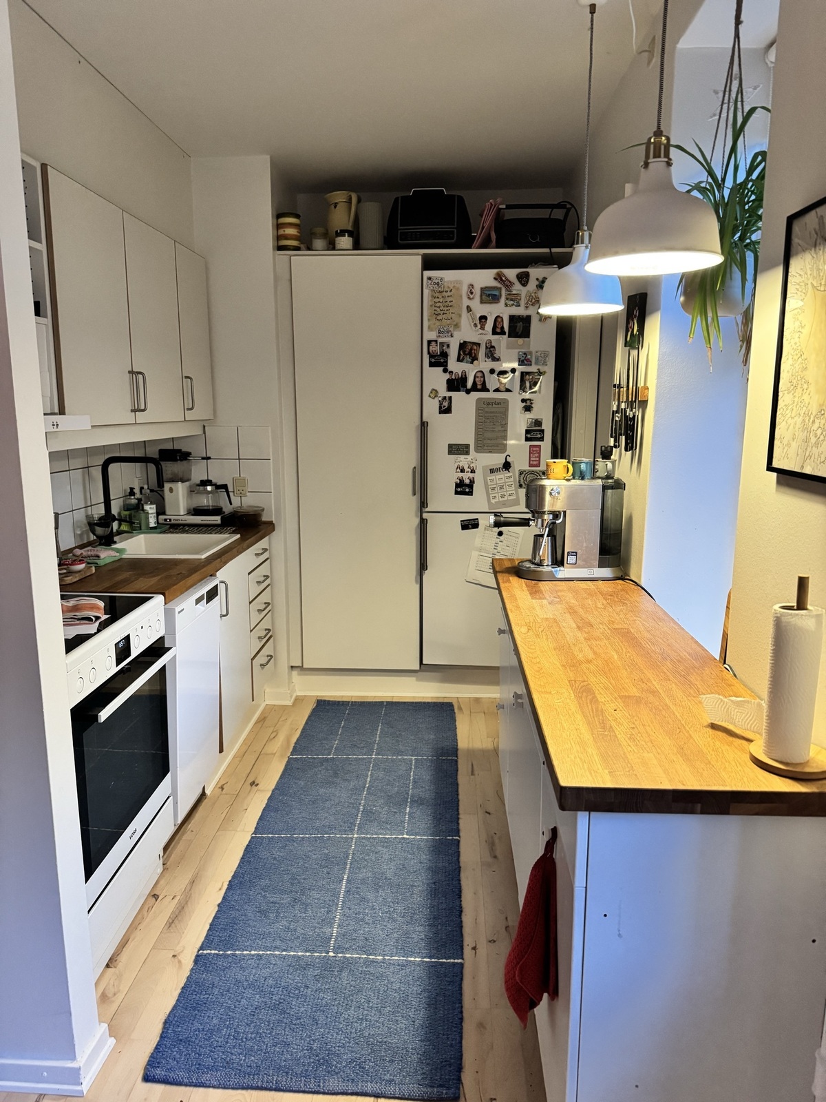 Billed 1 på Mysundegade 24