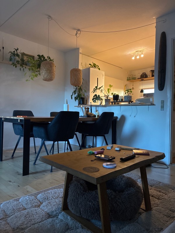 Billed 1 på Ålekistevej 252