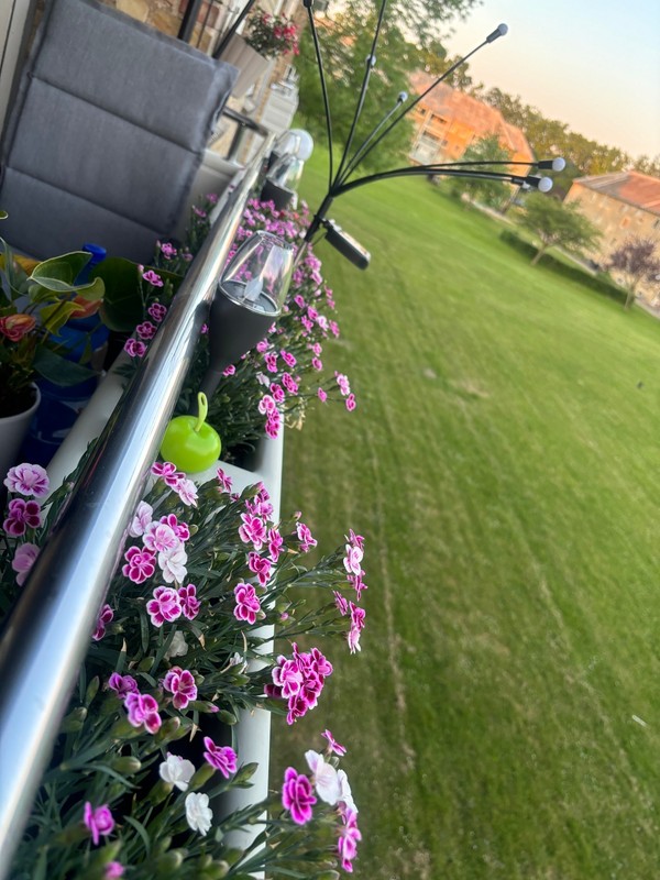 Billed 1 på Voldparken 20
