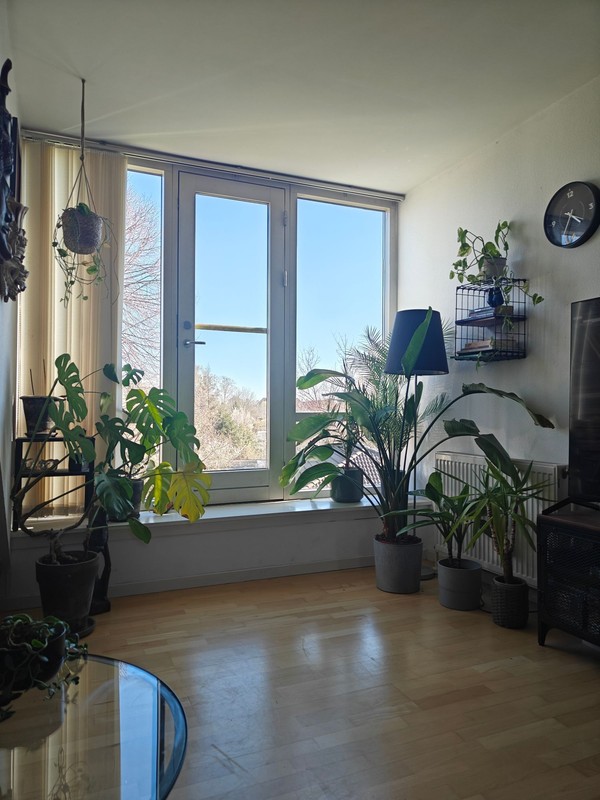 Billed 1 på Lyngbyvej 339C
