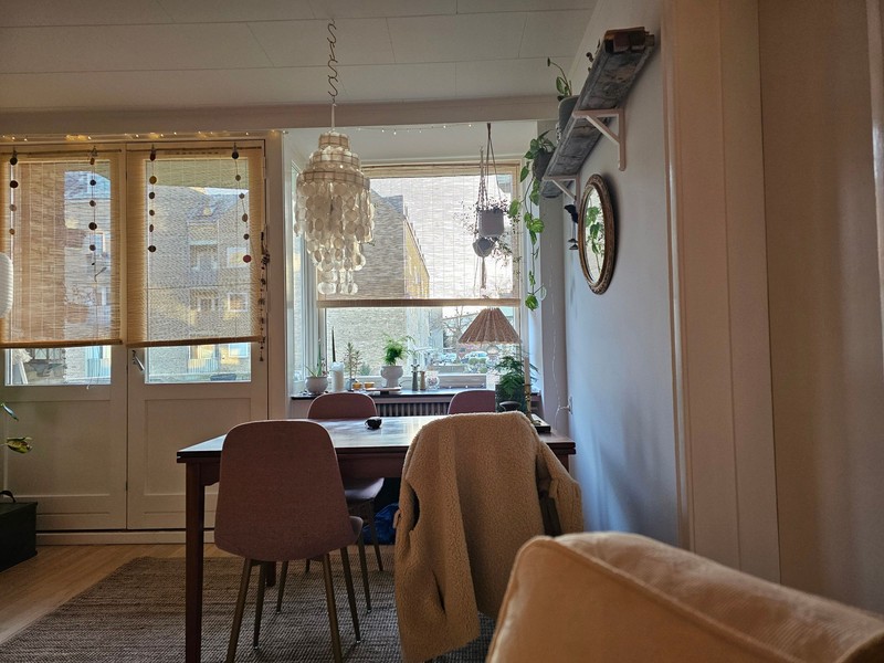 Billed 1 på Buskager 48