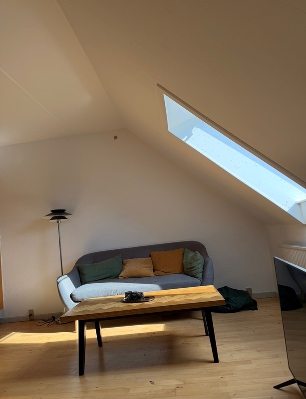 Billed 1 på Hersegade 15A