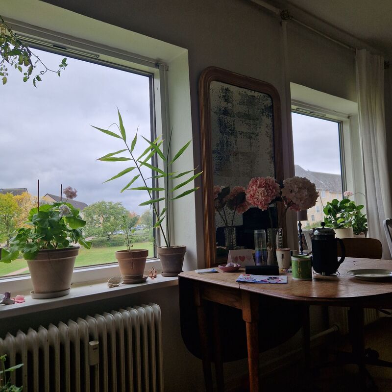 Billed 1 på Hyben Alle 92