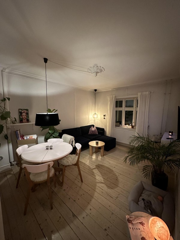 Billed 1 på Mariendalsvej 36C